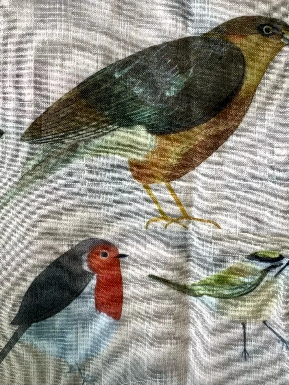 For Bird Lovers! Super Fun Women’s Beige Bird-Print Button-Up Shirt, Medium - Picture 12 of 16